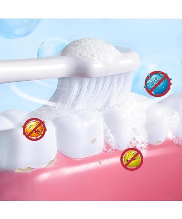  Hppsctink 2pcs Teeth Whitening Powder Whitening Charcoal Powder Tartar Remover Fresh Breath 2pcs*60g - Buy Online on GoSupps.com