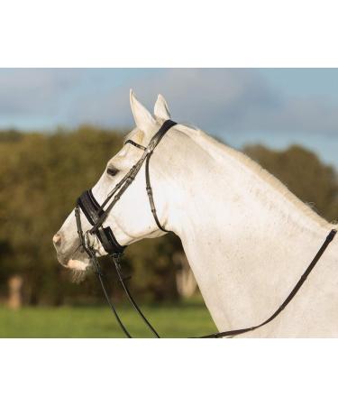 QHP Madelon Pad Noseband - Black Warmblood Size WB | Premium Equestrian Gear | International Shipping Available - Buy Online on GoSupps.com