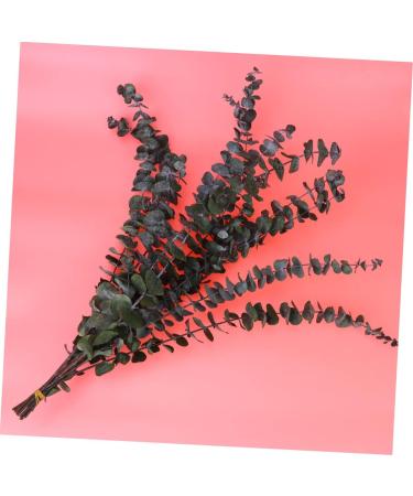 Zerodeko 10pcs Flower Plants Wedding Bouquets Eucalyptus Branches Naturales Faux Eucalyptuses Faux Eucalyptus Leaves Eucalyptus Tree Leaves Fake Eucalyptus Christmas Decorations - Buy Online on GoSupps.com