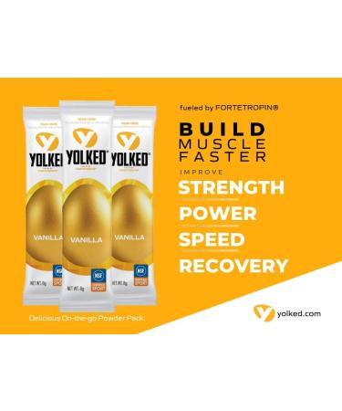 YOLKED: Clinically Tested NSF-Certified Muscle Building Supplement - Increase Lean Muscle, Reduce Loss, Improve Recovery - 30 Servings - Buy Online on GoSupps.com