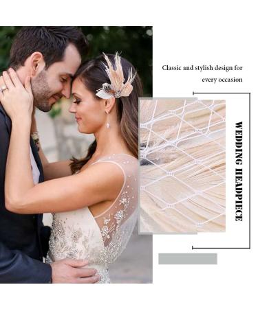 GORTIN 1920s Flapper Feather Hair Clip - Great Gatsby Headpiece for Women and Girls - Buy Online on GoSupps.com