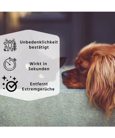 2 x 500ml Linozz Animal Odor Neutralizers | Eliminate Cat Urine & Dog Smells | Vegan Fresh Air Spray | Litter Box Deodorant - Buy Online on GoSupps.com