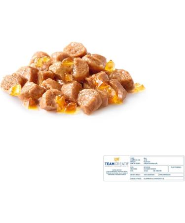 Royal Canin Kitten in JELLY Wet Adult Cat Food (24 x 85g) - Buy Online on GoSupps.com