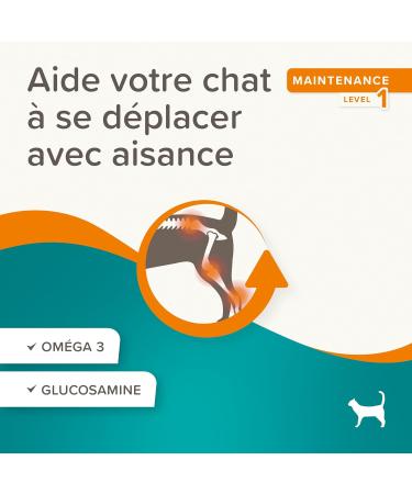 BEAPHAR Flexifit Joint Treats for Cats Contains vitamins glucosamine and essential fatty acids Provides joint support Highly palatable Level 1 35g - Buy Online on GoSupps.com