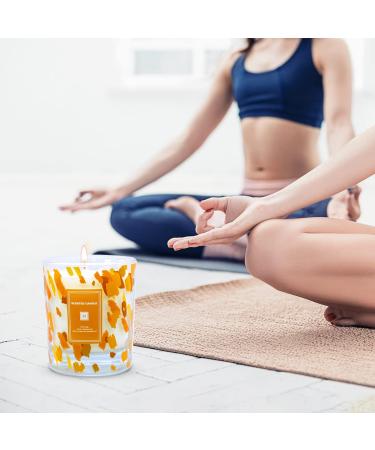 BlackBerry & Mango Scented Candle Gift Set | Natural Soy Wax Aromatherapy | Stress Relief for Women | Perfect for Mother's Day & Christmas - Buy Online on GoSupps.com