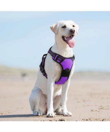 Eagloo Dog Harness for Large Dogs - Adjustable Anti-Train Control Harness with Reflex Strips Purple - Perfect for Labradors (1 Pack) - Buy Online on GoSupps.com