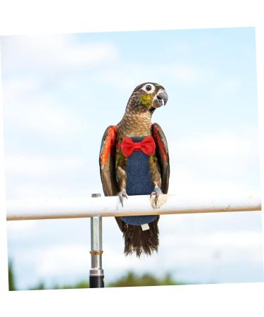 POPETPOP Flying Bird Diapers Budgie Diaper Bird Nappy Bird Clothes Bird Flight Suit Diaper Diapers for Pet Birds Parrots Nappies Parrot Diaper Cockatiel Diaper Cotton Cocktail Set Long Tail 20x11cm As Shown 2 - Buy Online on GoSupps.com