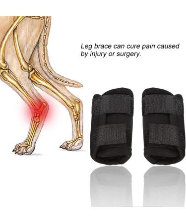 HEEPDD Dog Front Leg Compression Braces Front Leg Braces for Dogs(Black S 12) - Buy Online on GoSupps.com