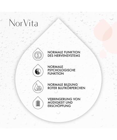 Norvita Vitamin B12 Spray 500 g - Vegan High-Dose B12 Complex | Natural Lemon & Menthol - 30 ml (150 Daily Doses) - Buy Online on GoSupps.com