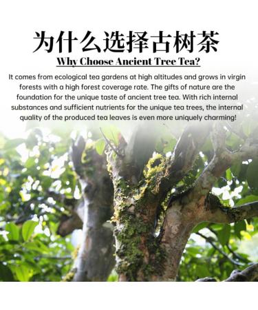 HQZM Directed Referred Yunnan Pu erthese Collied Golden Books of River Thee Classical Desert 500g 1764 Oz - Buy Online on GoSupps.com