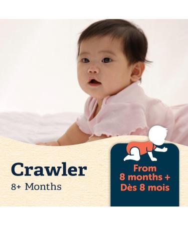 GERBER Stage 3 Multigrain Yogurt Blueberry Baby Cereal 227 g - Buy Online on GoSupps.com