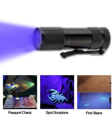 UV LED Flashlight - 395 nm Blacklight for Pets | Stain Detector for Clothes & Carpets | International Shipping - Buy Online on GoSupps.com