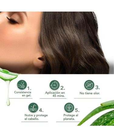  Herbatint Herbatint Permanent Hair Color Gel 5C Light Ash Brown 170ml No Ammonia Optimal Coverage of Grey Hair Vegan Formula With 8 Organic Plant Extracts - Buy Online on GoSupps.com