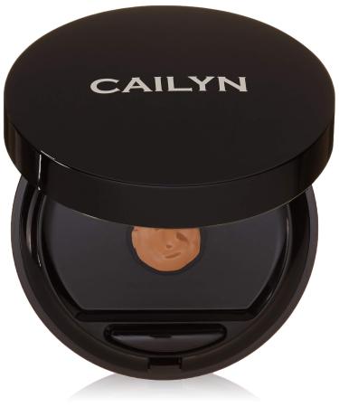 CAILYN BB Fluid Touch Compact  Nutmeg