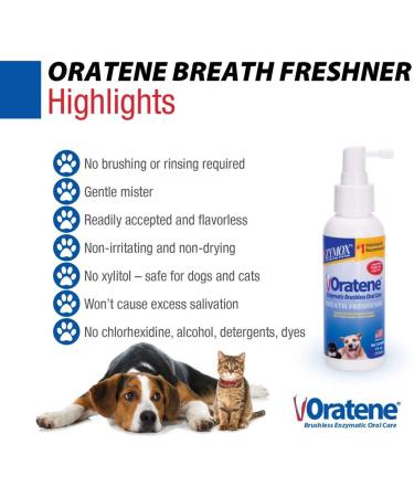 Pet King Brands Oratene Brushless Oral Care Breath Freshener for Dogs and Cats  4oz - Buy Online on GoSupps.com