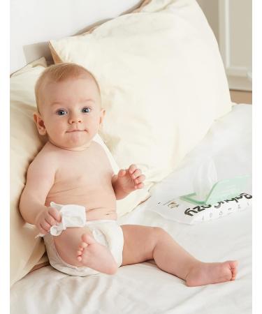 Babycozy 2-in-1 Moisturizing Baby Wipes - 100% Biodegradable & Hypoallergenic - 240 Count (Pack of 6) - Buy Online on GoSupps.com