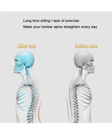 Oakye Lordosis Support Waist Belt | Orthopedic Spine Protection for Men & Women | XL & Medium Sizes | Intervertebral Disc Treatment - Buy Online on GoSupps.com