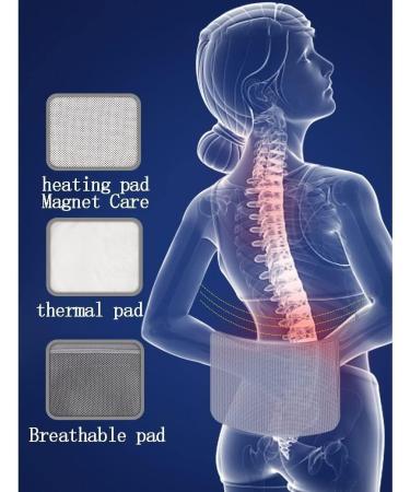 Breathable Lumbar Support Belt - Ergonomic Lower Back Brace for Pain Relief | Best Back Support Strap - Buy Online on GoSupps.com