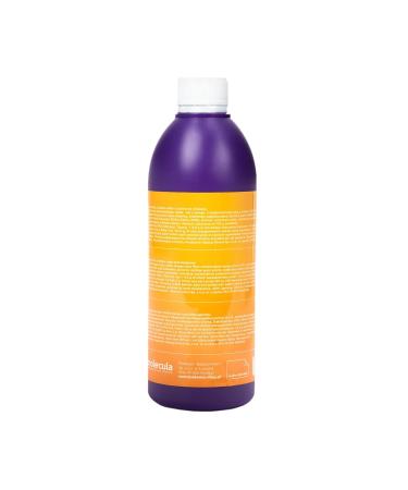Mango Bubble Tea Syrup 500ml | 100% Vegan & Gluten-Free | Natural Fruit Syrup for Desserts & Beverages - Buy Online on GoSupps.com
