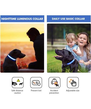 MASBRILL LED Dog Neck Band - Waterproof USB Charging Adjustable Safety Collar for Small & Medium Dogs - 3 Lighting Modes - Blue - M (38-50cm) - Buy Online on GoSupps.com