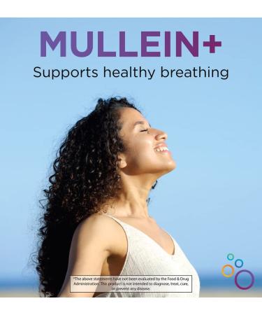 TriGuard Mullein Plus - Mullein, Elderberry & Olive Leaf Extract | 2 fl oz | Supports Respiratory Health & Immune System | Alcohol-Free & Non-GMO - Buy Online on GoSupps.com