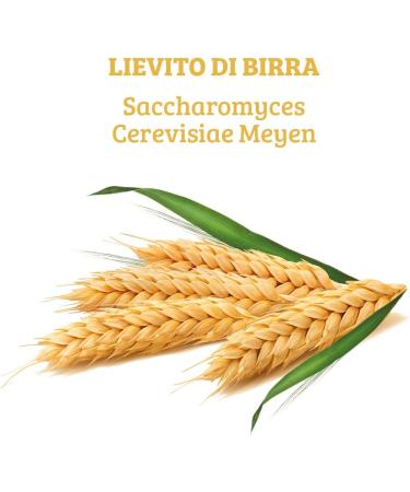 Colors of Life Pure Brewer's Yeast - Naturally Nutrient Rich Brewer's Yeast Supplement - Vegan 120 Tablets - Buy Online on GoSupps.com