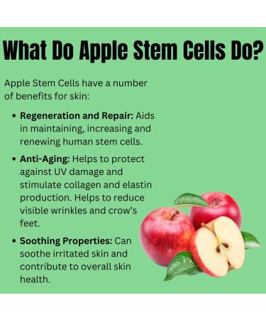 Simply SKN Age Defying Apple Stem Cell Face Cream to Renew and Revitalize Skin - Targets Wrinkles and Fine Lines - Anti-Aging Day and Night Facial Moisturizer for Women and Men - 1.0 oz - Buy Online on GoSupps.com