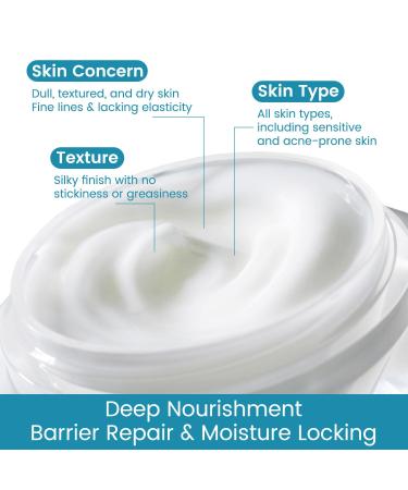 PEGO Anti-Aging Night Face Cream, Anti-Wrinkle Night Cream for Ladies, With 3 Essential Ceramides & Peptide Complex, Moisturizes & Visibly Smooths Fine Lines & Texture, 50g/e1.764oz - Buy Online on GoSupps.com