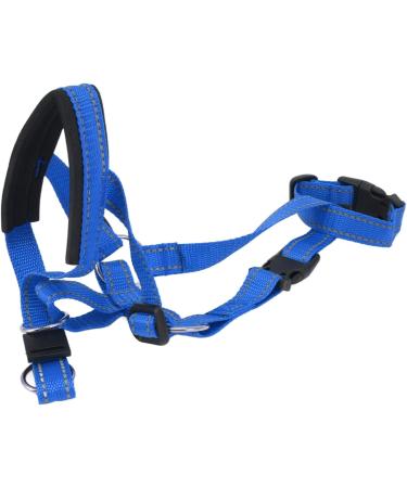 Dog Handlebars with Seat Belt - XL Blue Pet Halter to Prevent Pulling | International Shipping Available - Buy Online on GoSupps.com