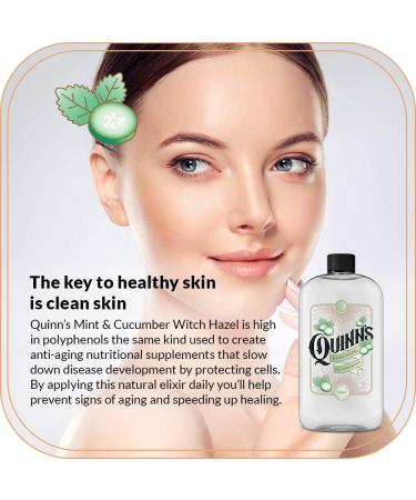 Quinn's Alcohol Free Witch Hazel with Aloe Vera 16oz - Cucumber & Mint Refreshing Skin Toner - Buy Online on GoSupps.com