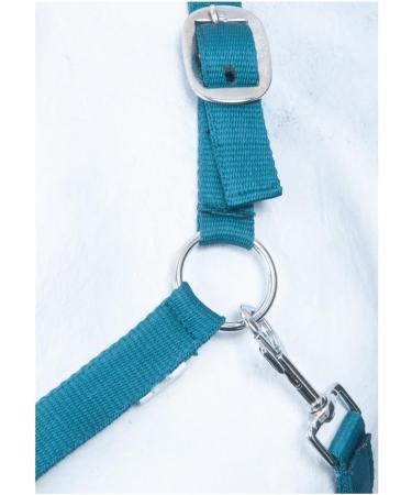 Buy RL24 Nylon Halter BASICLINE in Petrol for Warmbloods - Durable & Stylish | International Shipping Available - Buy Online on GoSupps.com