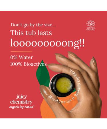 Organic Orange & Rosehip Lip Balm | Nourishing Balm for Dry Chapped Lips | Ecocert Certified Clinically Tested Cruelty-Free Vegan - 5 gm - Buy Online on GoSupps.com