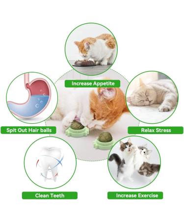 Aucenix Catnip Balls Toy for Cat Wall Catnip Roller for Cat Licking Teeth Cleaning Dental Edible Kitten Toy Natural Rotating Cat Balls Cat Nip Balls Cat Toy (Green-2pcs) - Buy Online on GoSupps.com