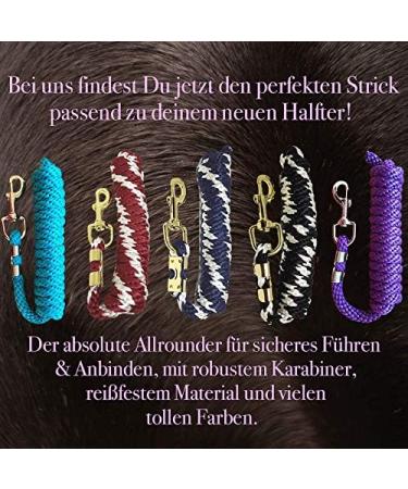 Buy Colorful Halters for Warmbloods Thoroughbreds & Cold Bloods - Adjustable Safe & Tear-Resistant Horse Halters for Stable & Pasture - Buy Online on GoSupps.com