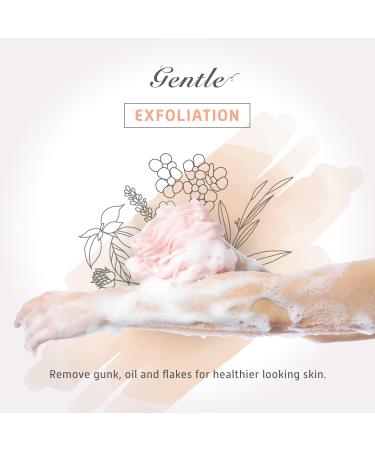 Spongentle Deep Cleansing Loofah Sponge 60g (Pack of 4) - Bath and Shower Exfoliating Body Scrubber for Men and Women - Buy Online on GoSupps.com