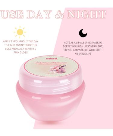 Natural Lip Balm Set 6 Pieces Moisturizing Lip Balm plantbased ingredients moisturizing lip care for daily use work school and travel - Buy Online on GoSupps.com