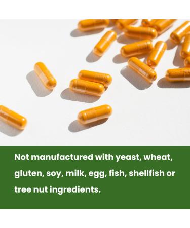 Rachel s Pro Curcumin Phytosome - High Absorption Meriva Turmeric Gluten-Free Curcumin Supplement 60 Capsules for Daily Use - Buy Online on GoSupps.com