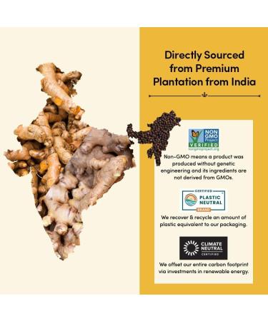 VAHDAM Turmeric Latte And Ginger (40 Cups 100g) Caffeine-free Golden Milk Powder | Real Ingredients - Turmeric And Ground G - Buy Online on GoSupps.com