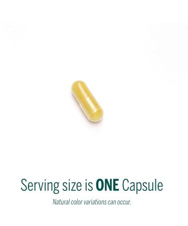 Genestra Brands Berberis Formula | Barberry Goldenseal and Oregon Grape Herbal Supplement | 90 Capsules 90 Count (Pack of 1) - Buy Online on GoSupps.com