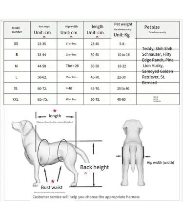 Dog Wheelchair Dog Wheelchair for Back Legs Adjustable Pet Wheelchair Rehabilitation Walk Tool Pet Cat Dog Wheelchair Portable Large - Buy Online on GoSupps.com
