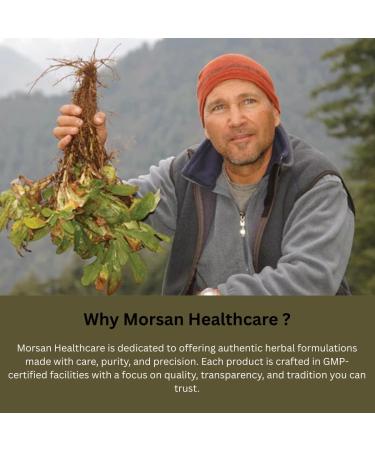 Safed Musali Capsules 500 mg 120 Veg Capsules | Chlorophytum Borivilianum Extract | Natural Herbal Supplement | Plant-Based | Pack of 2 120 Count (Pack of 1) - Buy Online on GoSupps.com