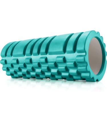Foam Roller - High Density Exercise Roller for Deep Tissue Muscle Massage, Muscle and Back Roller for Fitness, Physical Therapy, Yoga and Pilates, Gym Equipment, Pink (A-Mars Green)