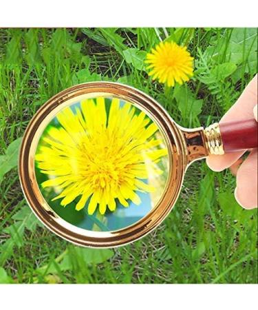 Magnifiers Magnifying Glass Super Clear 10x Reading Elderly Children Students Convenient Handheld Magnifying Glass Reading Aids - Buy Online on GoSupps.com