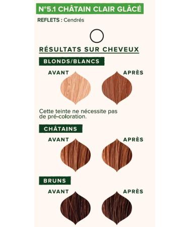 Emblica Organic Plant-Based Hair Color | No 5.1 Light Brown | Preservative Free | Rich in Amla | 100 g - Buy Online on GoSupps.com