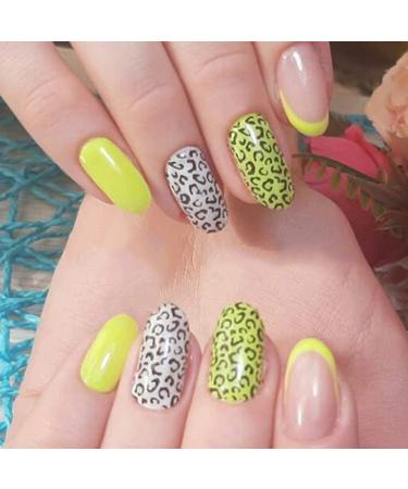 Snake Leopard Print Animal Nail Stamping Plates | Geometric Flowers & Cow Designs | Stencil Stamp Tool for Cow Print Nails - J054 - Buy Online on GoSupps.com