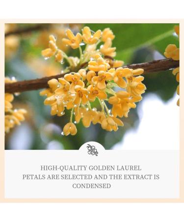 Premium Eye Masks & Pads - 40 Pairs for Dark Circles Tear Bags & Wrinkles | Hyaluron Eye Patches | High Quality Natural Ingredients - Buy Online on GoSupps.com