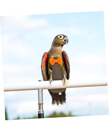 PopetPop 2-Pack Flying Bird Diapers | Small Bird Clothing & Pet Pants for Conures - 17x9cm - Buy Online on GoSupps.com