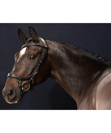 PresTeq FaySport Snaffle Bridle - Black Full Size | Premium Equestrian Gear for International Shipping - Buy Online on GoSupps.com