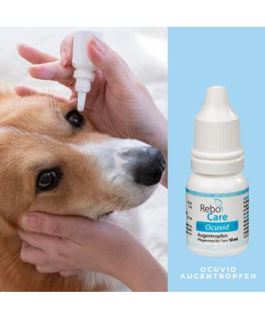 Ocuvid Eye Drops for Animals | Moisturizes Dry Eyes | Sodium Hyaluronate & Dexpanthenol | Ideal Cornea Care for All Animals - Buy Online on GoSupps.com