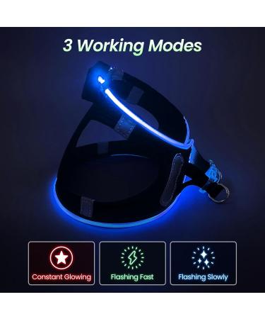 PCEOTLLAR USB Rechargeable LED Dog Harness - Reflective & Breathable for Small & Medium Dogs | Lightweight Flashing Light | Black Blue - Buy Online on GoSupps.com